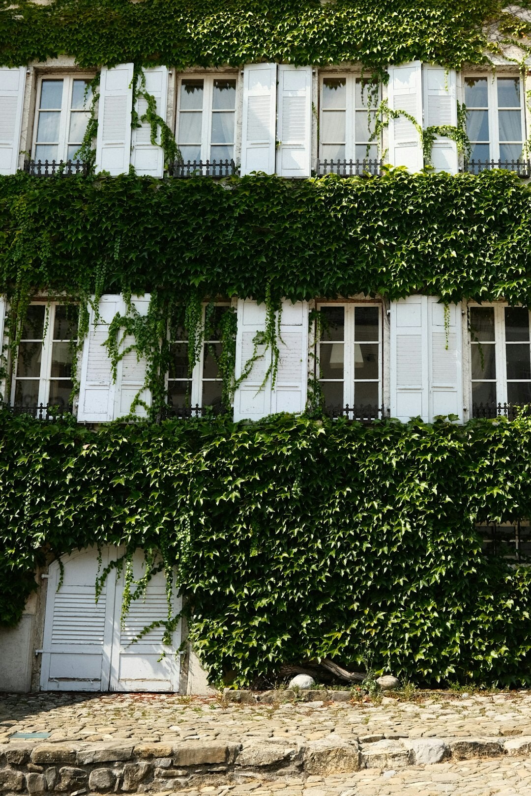 Whitewashed coastal building exterior with wooden shutters and climbing vines